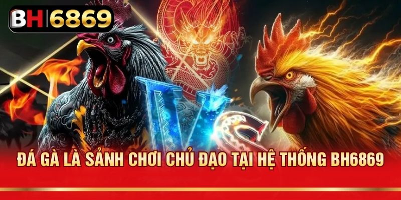 Đá gà là sảnh chơi chủ đạo tại hệ thống BH6869