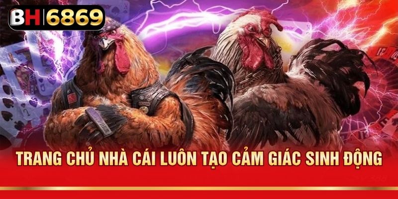 Trang chủ nhà cái luôn tạo cảm giác sinh động